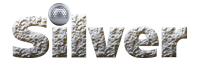 Silver Sponsorship