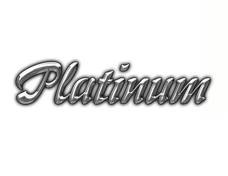 Platinum Sponsorship