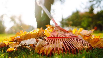 Rake For ALS